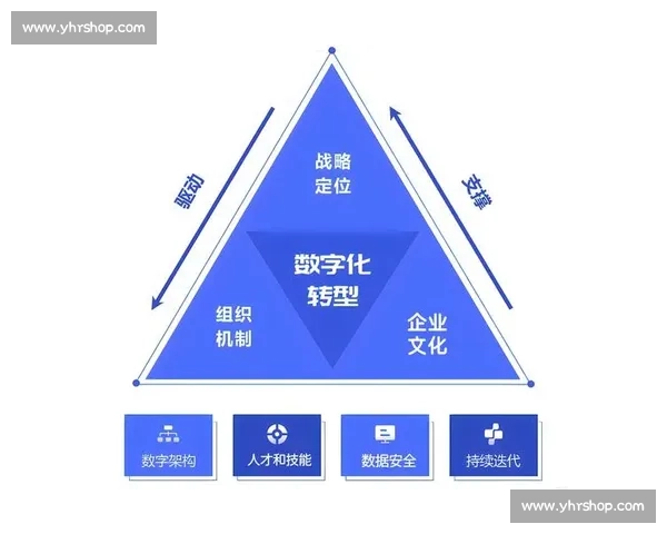 数字化转型背景下体育行业市场运营模式创新与品牌价值提升路径研究 数字化转型背景下体育行业市场运营模式创新与品牌价值提升路径研究